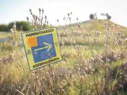 Hannover 2026